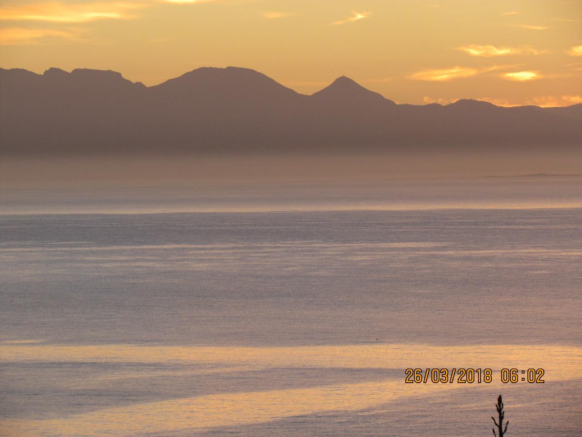 Watching Waves, Heron Chase Vishoek Buitenkant foto